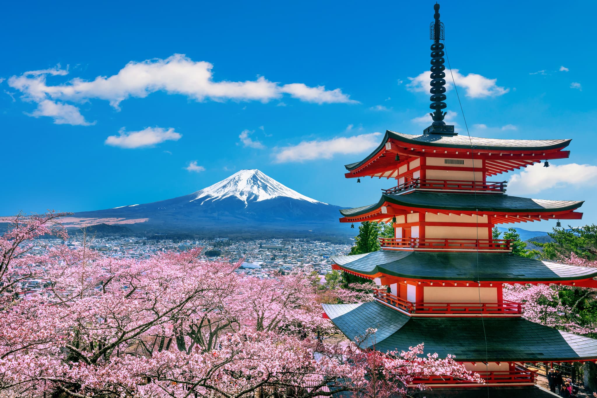 Study in Japan — Guide for International Students